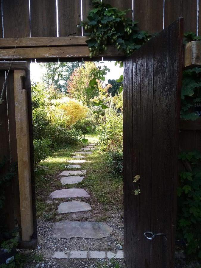 HilsenheimHissele住宿加早餐旅馆 外观 照片