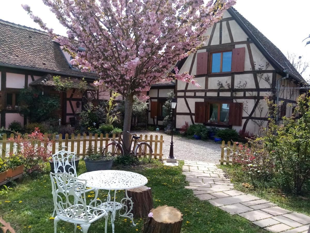HilsenheimHissele住宿加早餐旅馆 外观 照片